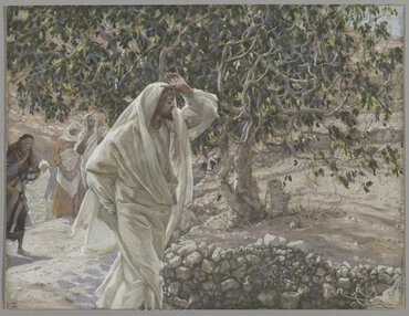 Jesus curses a fig tree in this James Tissot watercolor. The French-born Tissot did a series of Bible illustrations from 1886-94, while living in England.